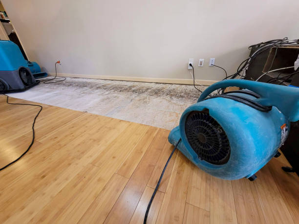 Reliable Basement Flood Cleanup contractor in Lexington, WA by Hirex Water Damage