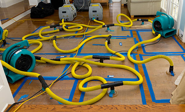 Professional Basement Flood Cleanup technician working in Lexington, WA